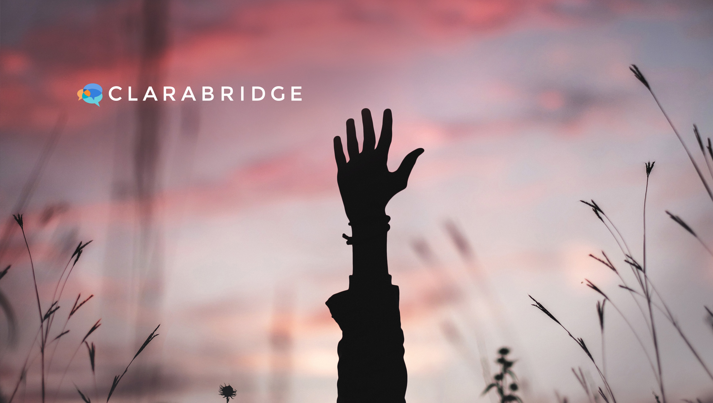 Clarabridge