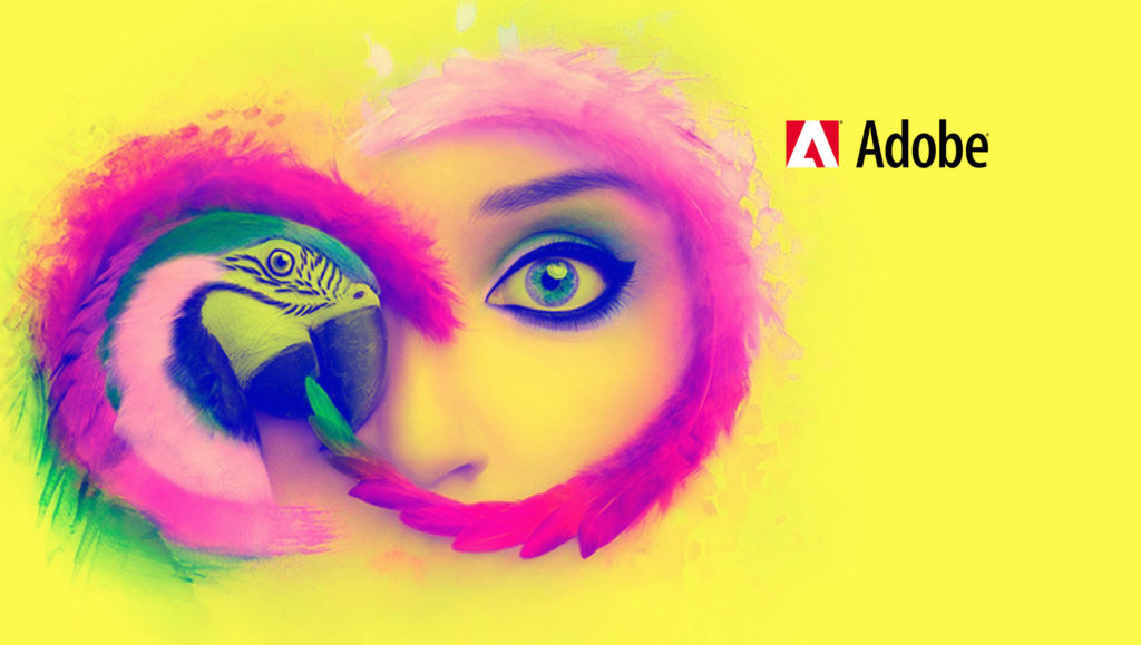 Adobe Named a Leader in 2019 Gartner Magic Quadrant for Personalization Engines & Magic Quadrant for Web Content Management