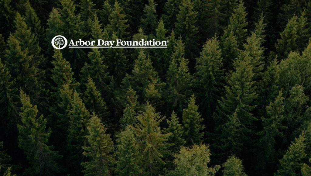 Arbor Day Foundation and YouTube Surpass Donation Goal to Plant 20 Million Trees Through Viral #TeamTrees Movement