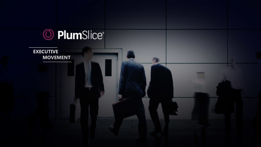 Retail Analytics Leader Lori J. Schafer Named CEO of PlumSlice