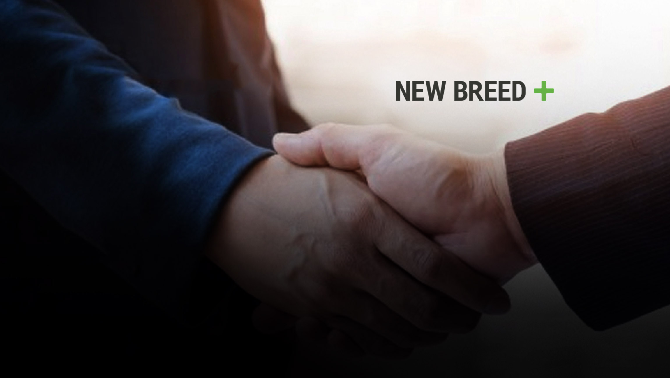 New Breed Named Elite Solutions Partner by HubSpot