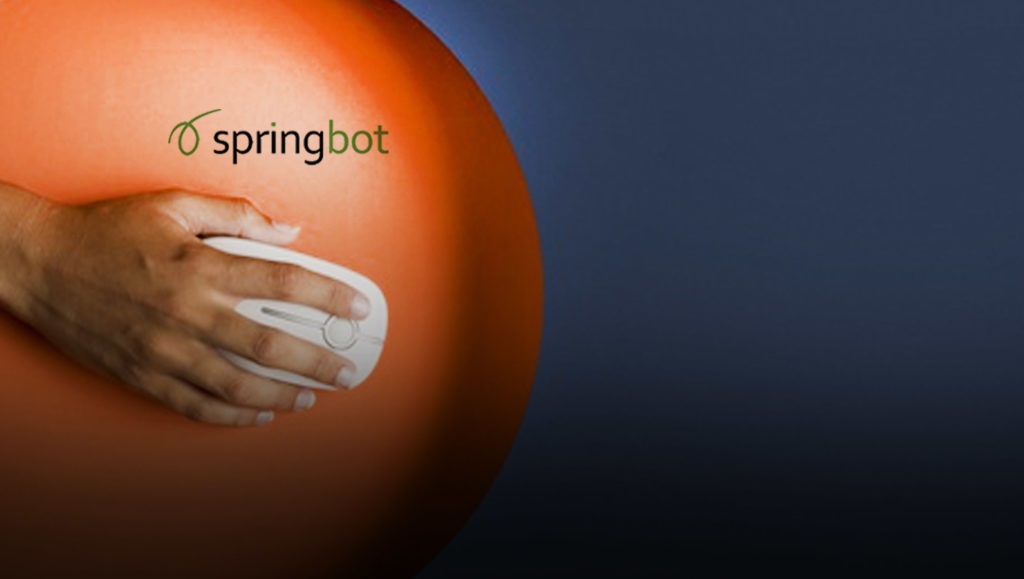 Springbot Launches Integration With Zapier to Help eCommerce Retailers Improve Marketing Efficiency and Automate Data Import