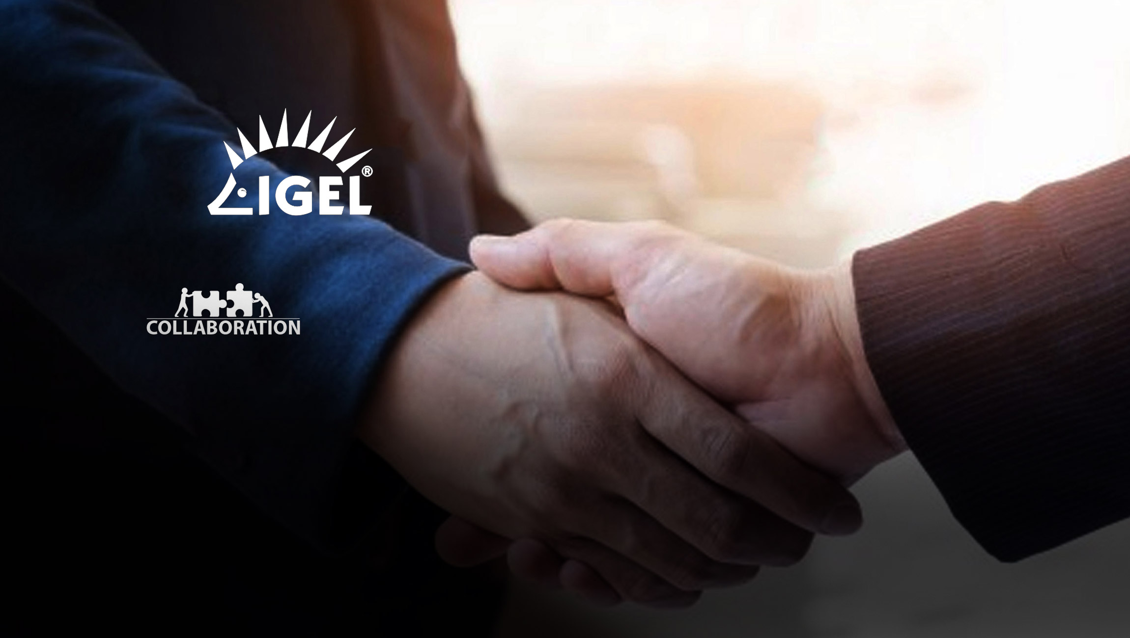 Cherry, Global Leader In Computer Input Devices, Joins Igel Ready Program As A Technology Partner