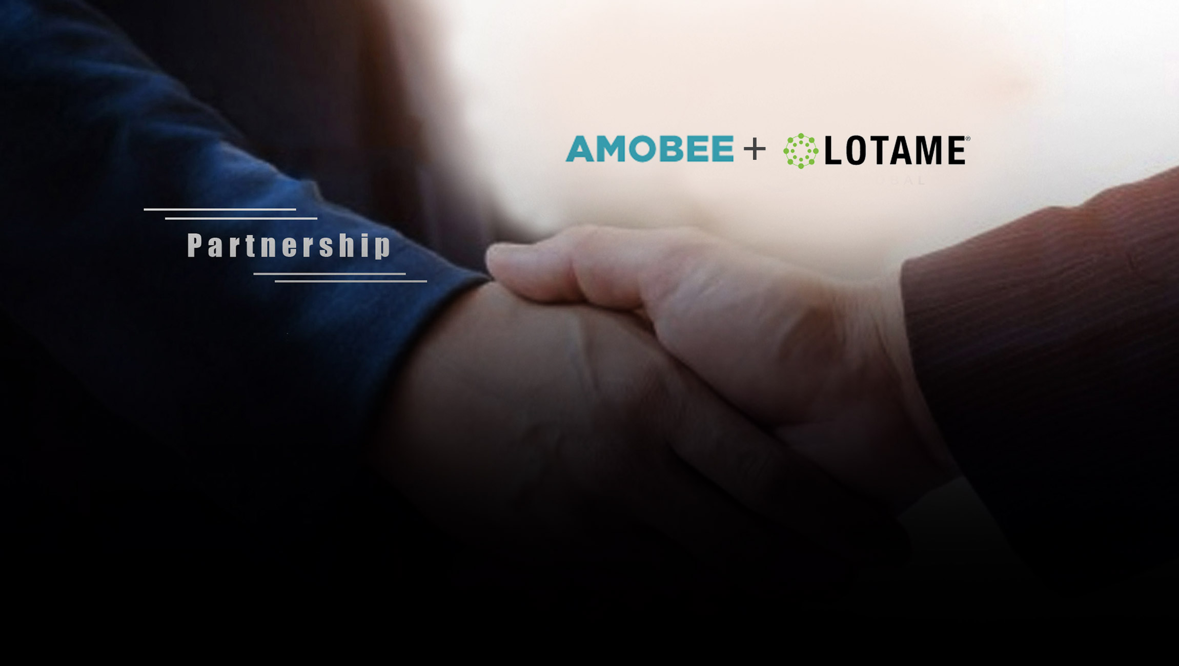 Amobee and Lotame Unveil Partnership for Global Social Audience Activation