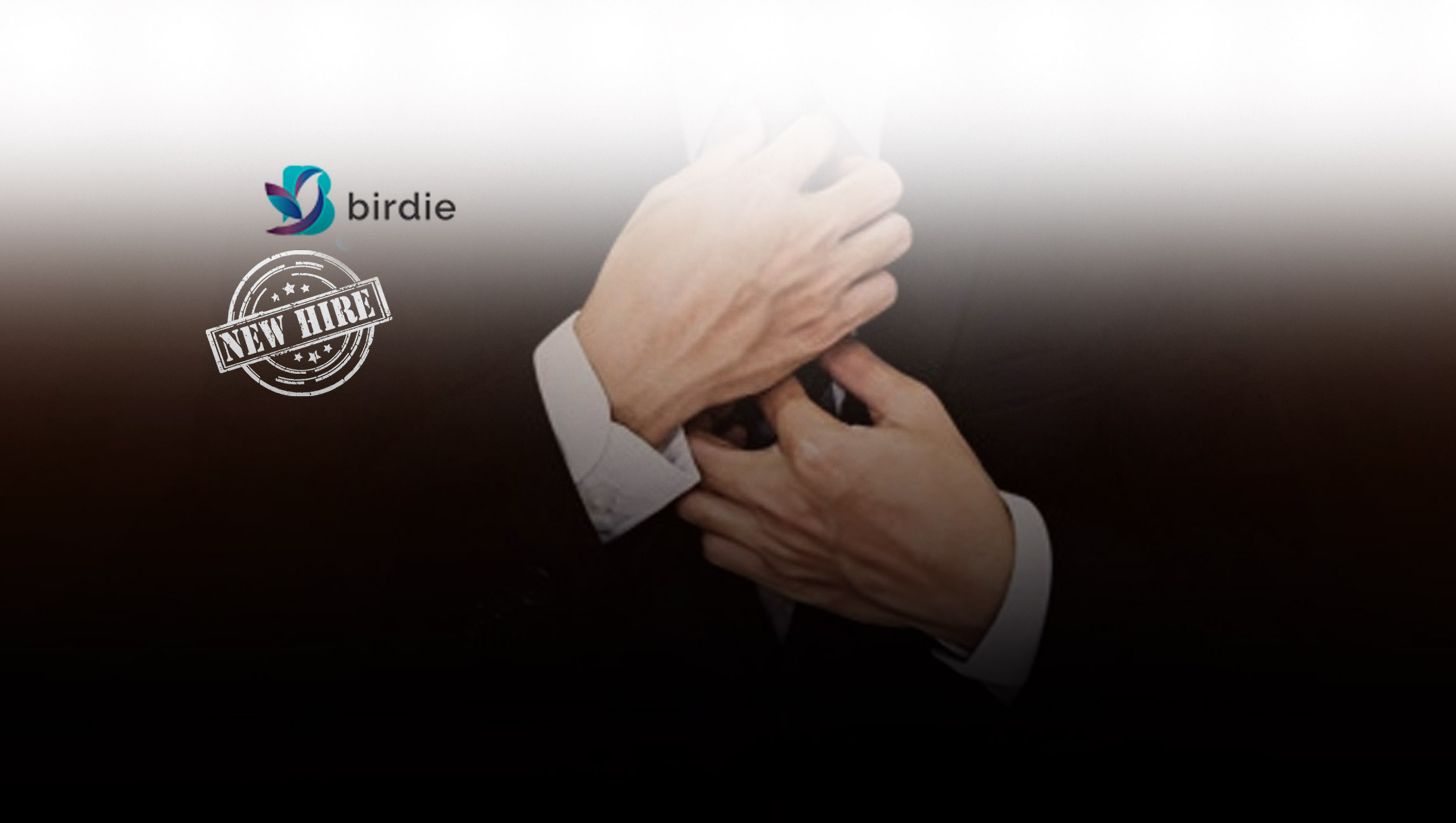 Birdie Announces Appointment of Market Research Veteran Ted Clark as New Chief Operating Officer