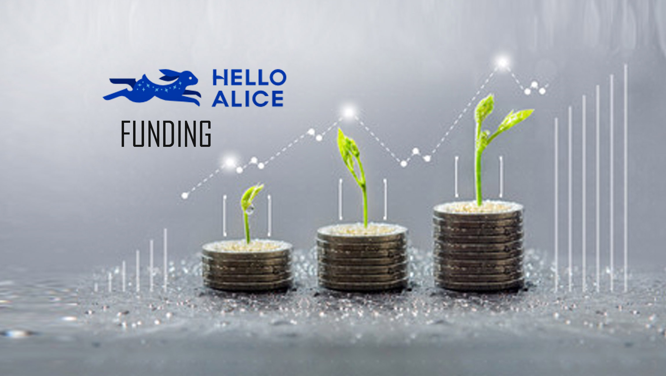 Hello Alice Raises $21 Million Series B Led By QED Investors To Bolster Small Business