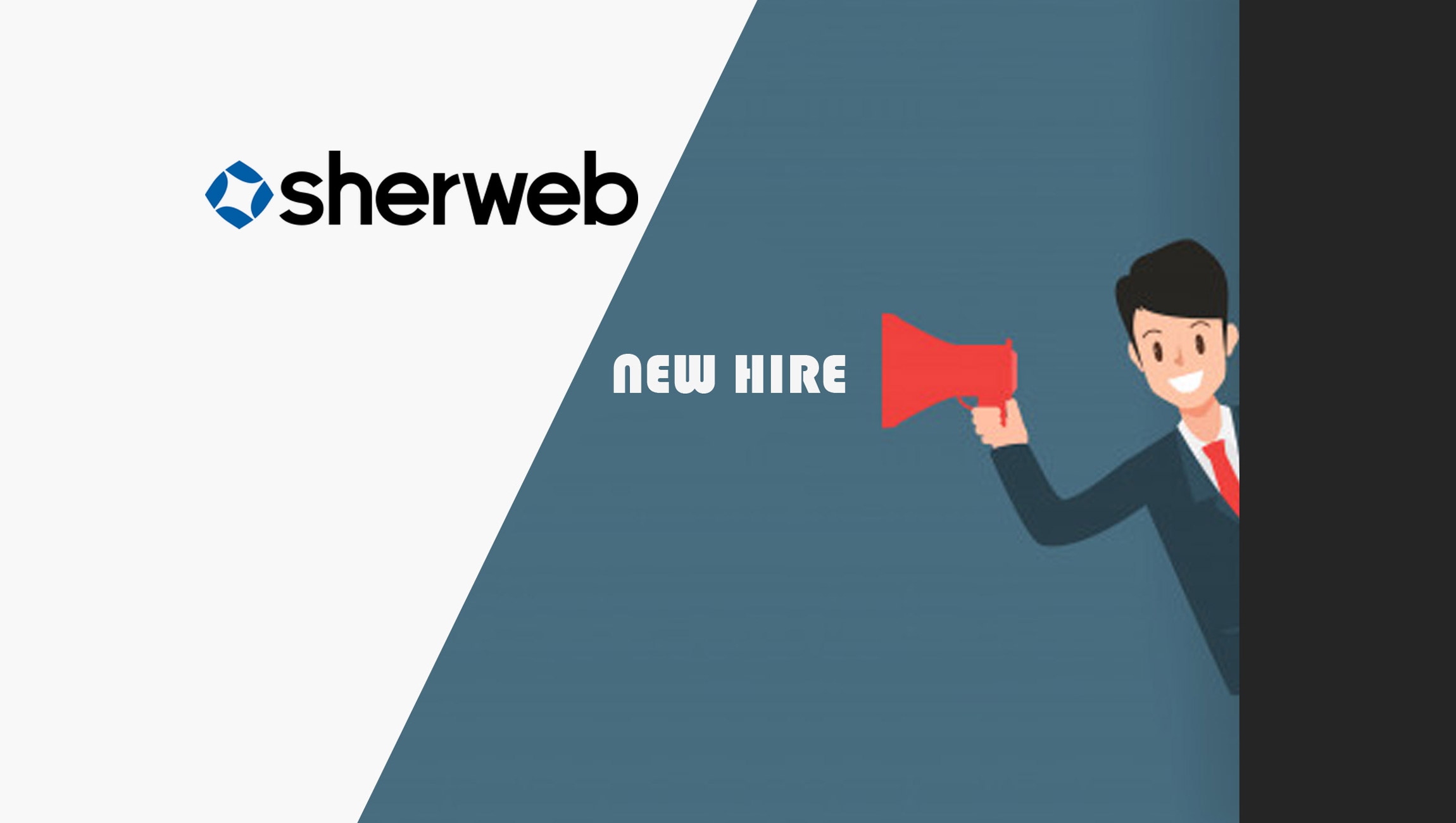 Sherweb-Names-Alain-Brisson-as-Chief-Operating-Officer