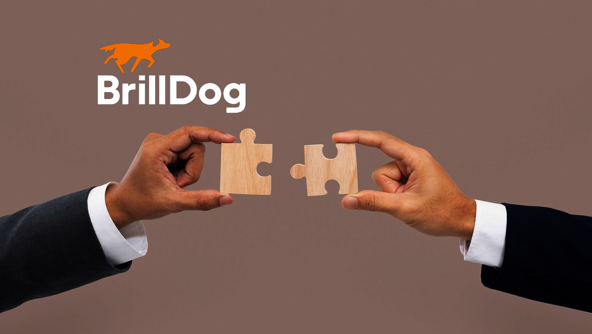 BrillDog Acquires Nexterus Software