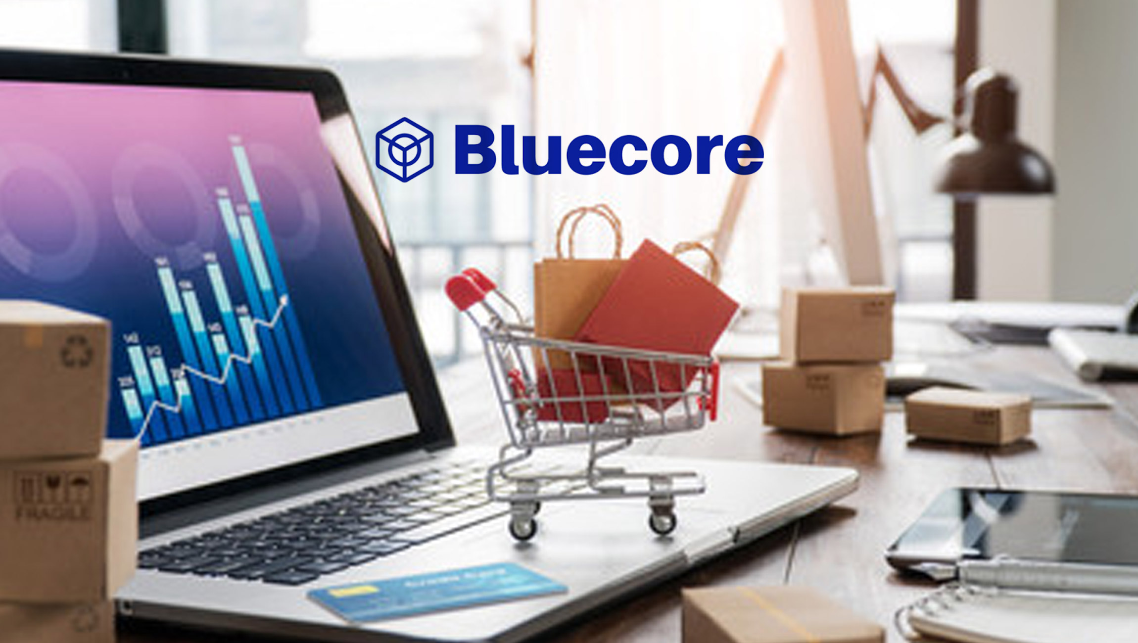 Enterprise Retailers Increase Identification 12% Year-Over-Year This Black Friday Finds Bluecore