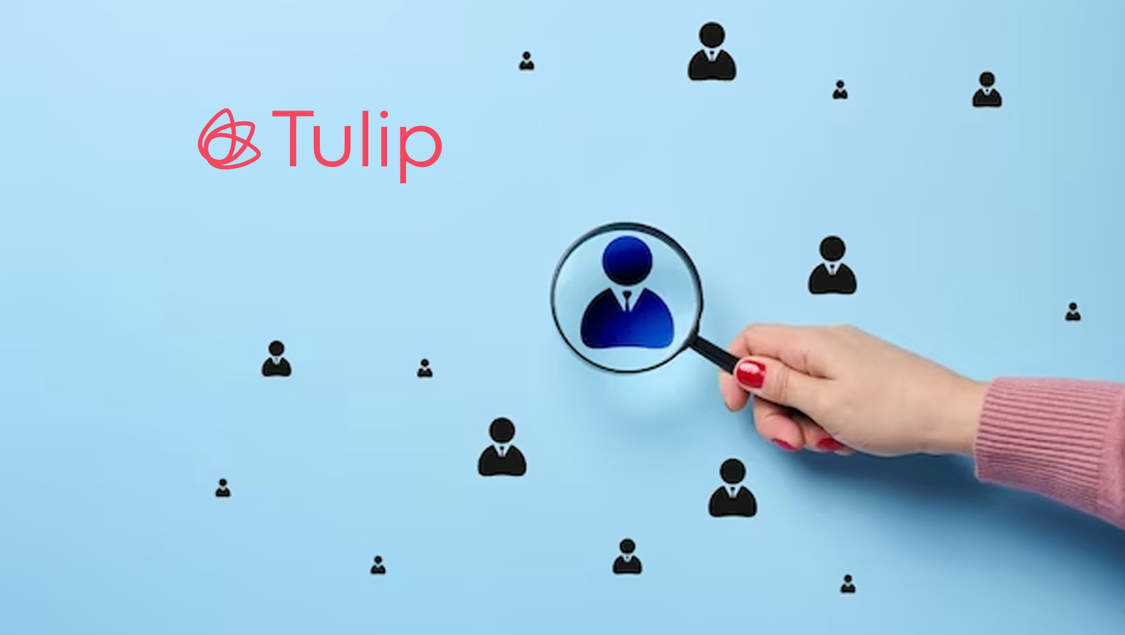 Tulip-Appoints-Ian-Rawlins-as-New-Chief-Executive-Officer