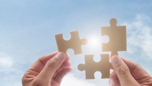 Apollo.io Elevates Enterprise Search with Siren