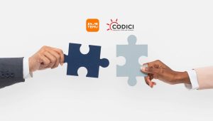 Temu and CODICI Join Forces to Strengthen Consumer Protection